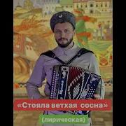 Стояла Ветхая Сосна Виктор Сорокин