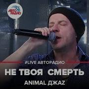 Animal Джаz Не Твоя Смерть