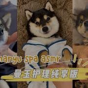 Asmr Pet