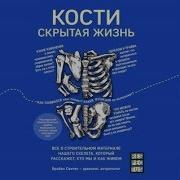 Брайан Свитек