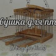 Ловушка Для Птиц