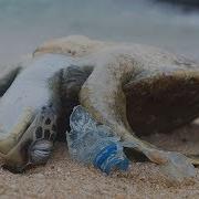 The Oceans Breaking Down