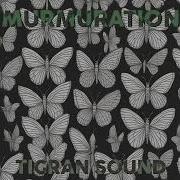 Tigran Sound Murmurations