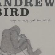 So Much Wine Andrew Bird