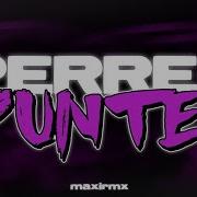 Perreo Punteo