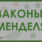 Законы Менделя