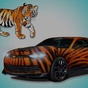 Крошка Антошка Тв Учим Животных Машинках