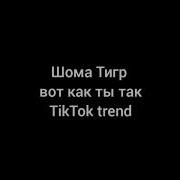 Шома Тигр Shoma Tigr Вот Как Ты Так Шоматигрвоткактытак Тикток Tiktok