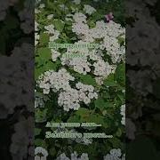 А На Улице День А На Улице Лето