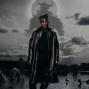 Juice Wrld Feline