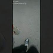 Не Повезло В Любви Повезет В Алкоголизме
