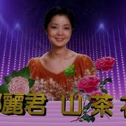山茶花 邓丽君