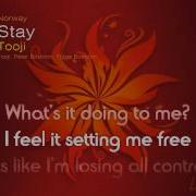 Stay Tooji Lyrics