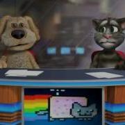 Tom Ben News Nyan Cat