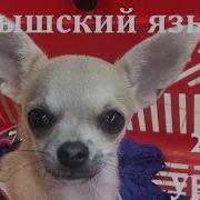 27 1 Урок Латышского Языка