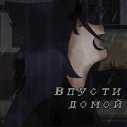 Впусти Меня Домой Меме