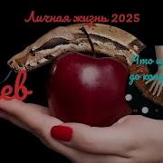 Что Если Наша Жизнь Стим