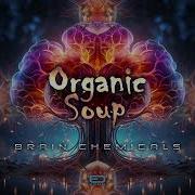 Organik Soup