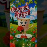И Снова Доброе Утро