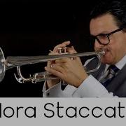 Hora Staccato Trumpet