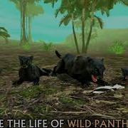 Wild Panther Sim 3D By Turbo Rocket Games Battle Theme