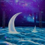 Silent Rhythm Fly Into Deep Sleep