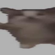 Хайпуки Няма Няма Из Тик Тока