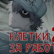 Клетки За Работой 1 Сезон Эндинг
