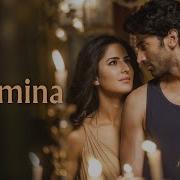 Amit Trivedi Pashmina