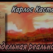 Карлос Кастанеда Другая Реальность