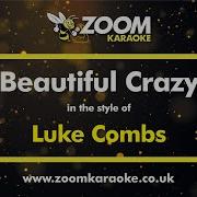 Karaoke Zoom