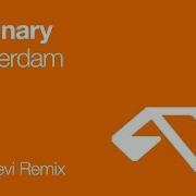 Amsterdam Maor Levi Remix Luminary