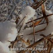 С Грищук История Любви