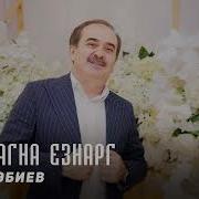 Малх Санна Хьо Гуча Йолу Эбиев Ильяс