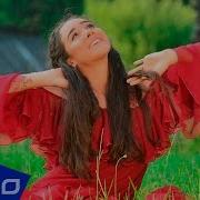 Полина Дашкова До Бога