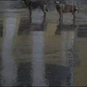 Кап Ка Барабанит Дождь По Крвше