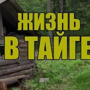 Жизнь В Тайге Зимой Промысловая Охота В Сибири Охота Волков Охота Лисы