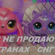 Лпс Необычные Пет