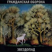 Ветер Северный Гражданская Оборона