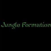 Jungle Techno 2020
