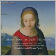 Chiacona Francois Fernandez Philippe Pierlot Ricercar Consort