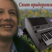 Спит Придорожная Трава Пресняков Кавер На Синтезаторе Yamaha Psr S670