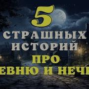 Страшные Истории На Ночь Сборник 18