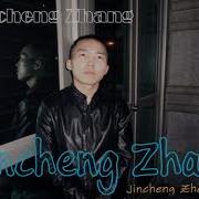 Reply Jincheng Zhang