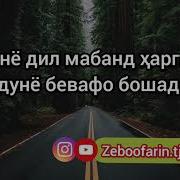 Нест Бе Ранч Рохати Дунё Эссе