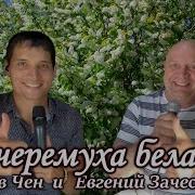 Скачать Песню Ах Черёмуха Белая Вячеслав Чен И Евгений Зачеславский