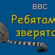 Ребятам О Зверятах