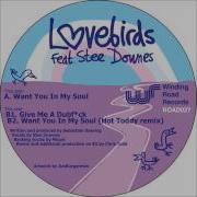 Want You In My Soul Feat Stee Downes