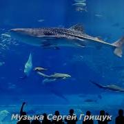 Сергей Грищук Без Тебя Млечный Путь 2020
