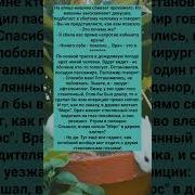 Истории Из Жизни Смешные